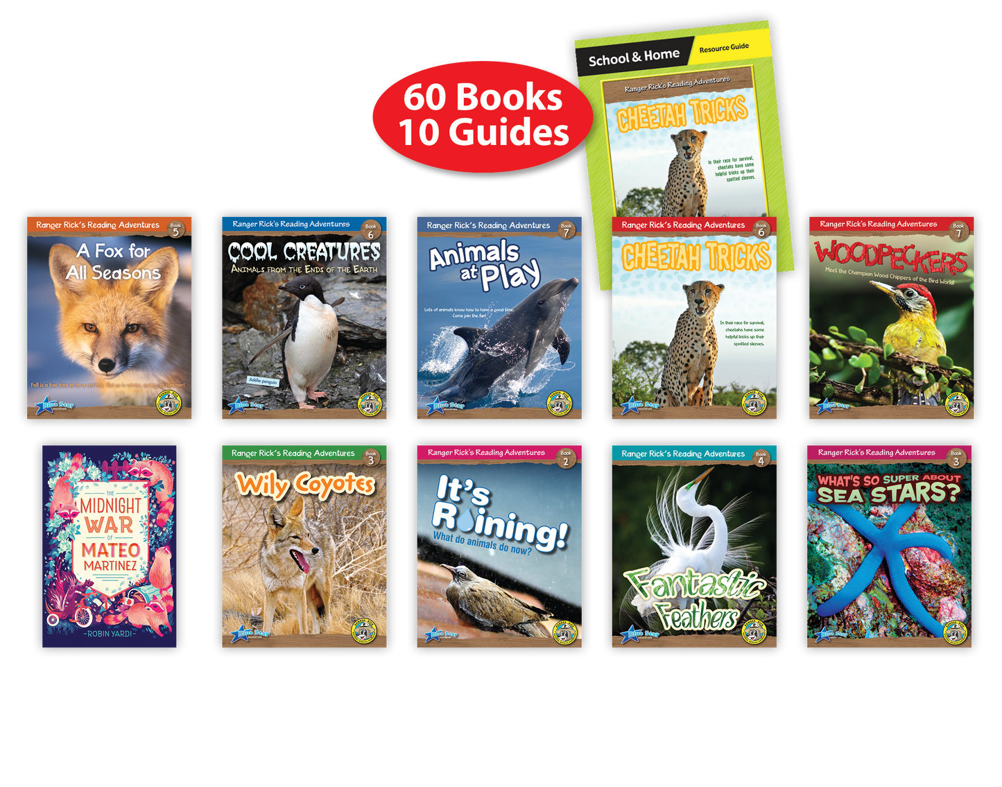 Fluent (Levels Q–S) Book Room Set