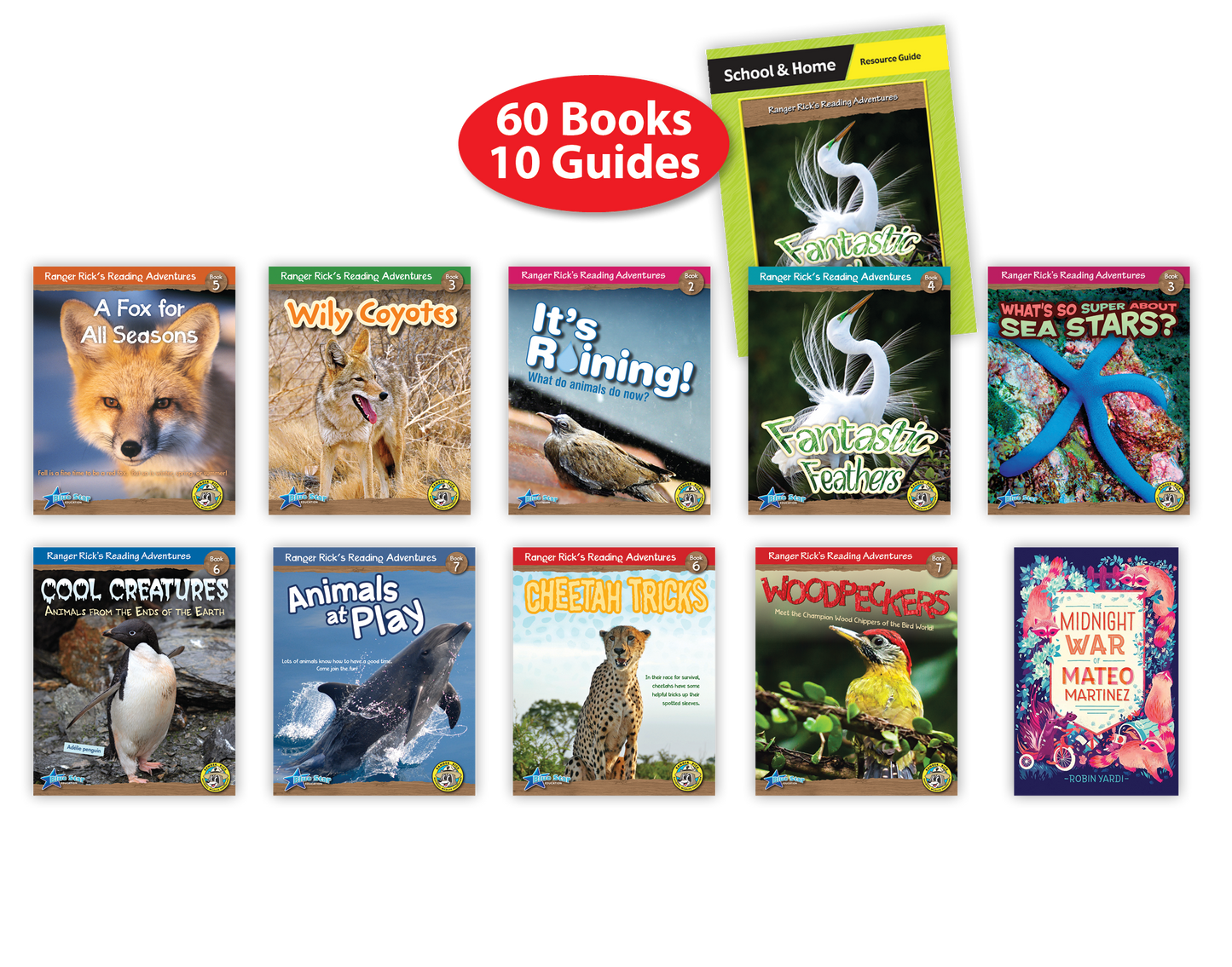 Fluent (Levels Q–S) Book Room Set