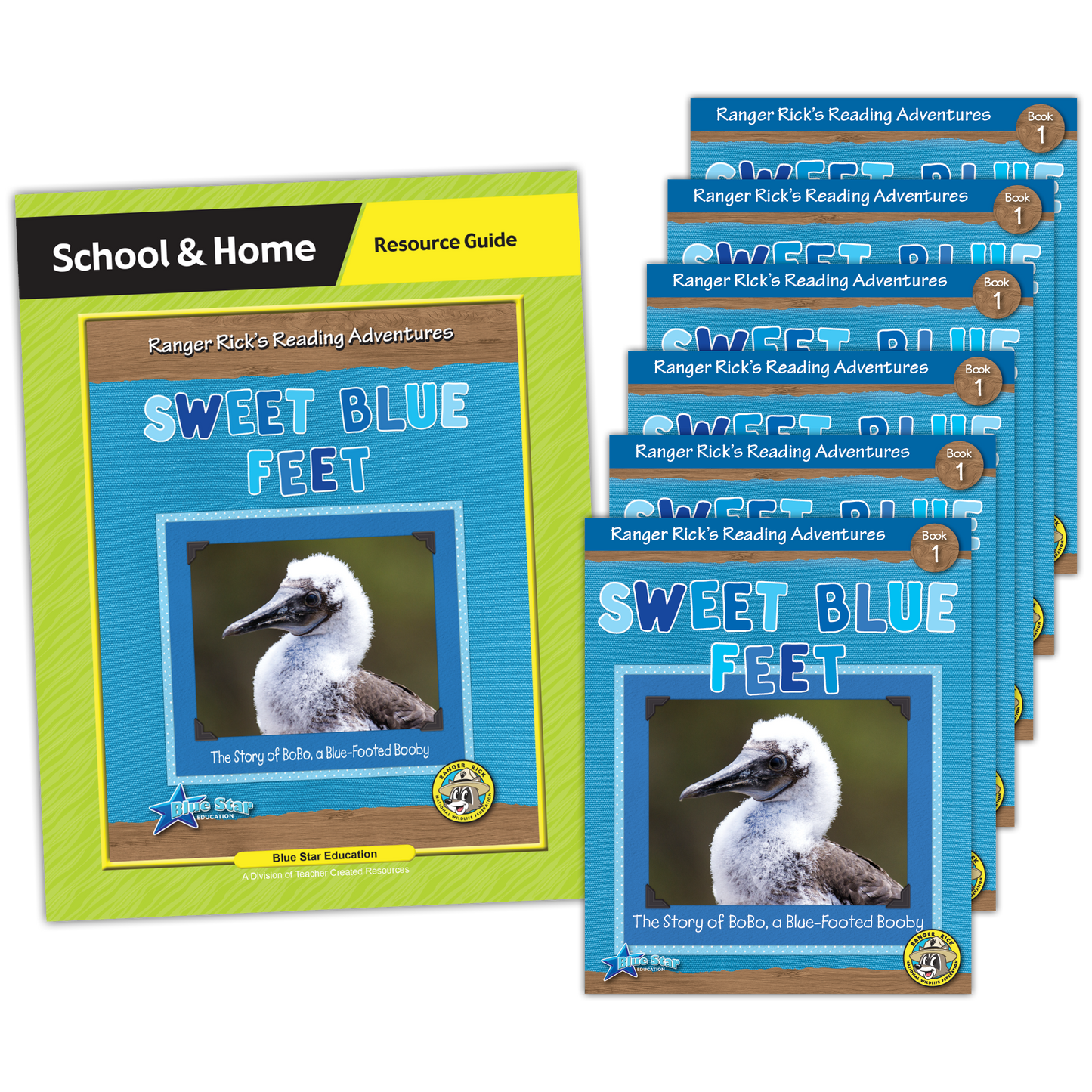 Sweet Blue Feet - Level H/I Book Room