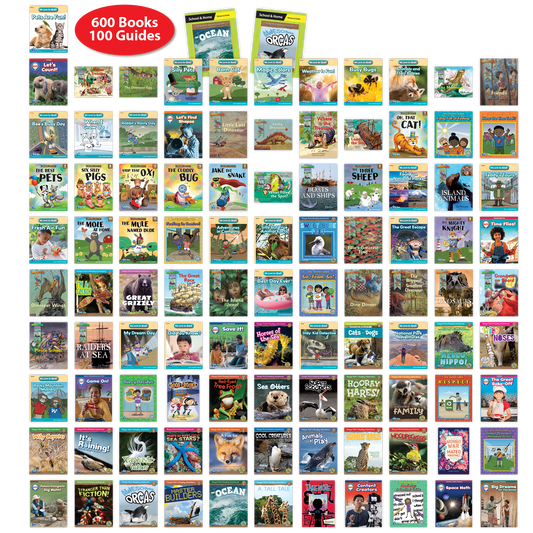 Complete Early - Fluent  (Levels A-Z) Book Room Set