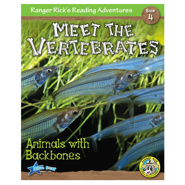 Reader Riddles Ranger Rick Ranger Rick's Reading Adventures: Meet the Vertebrates 6-Pack โ Blue ...