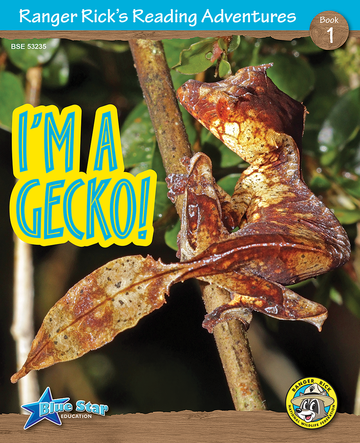 Reader Riddles Ranger Rick Ranger Rick's Reading Adventures: I'm a Gecko 6-Pack โ Blue Star Education
