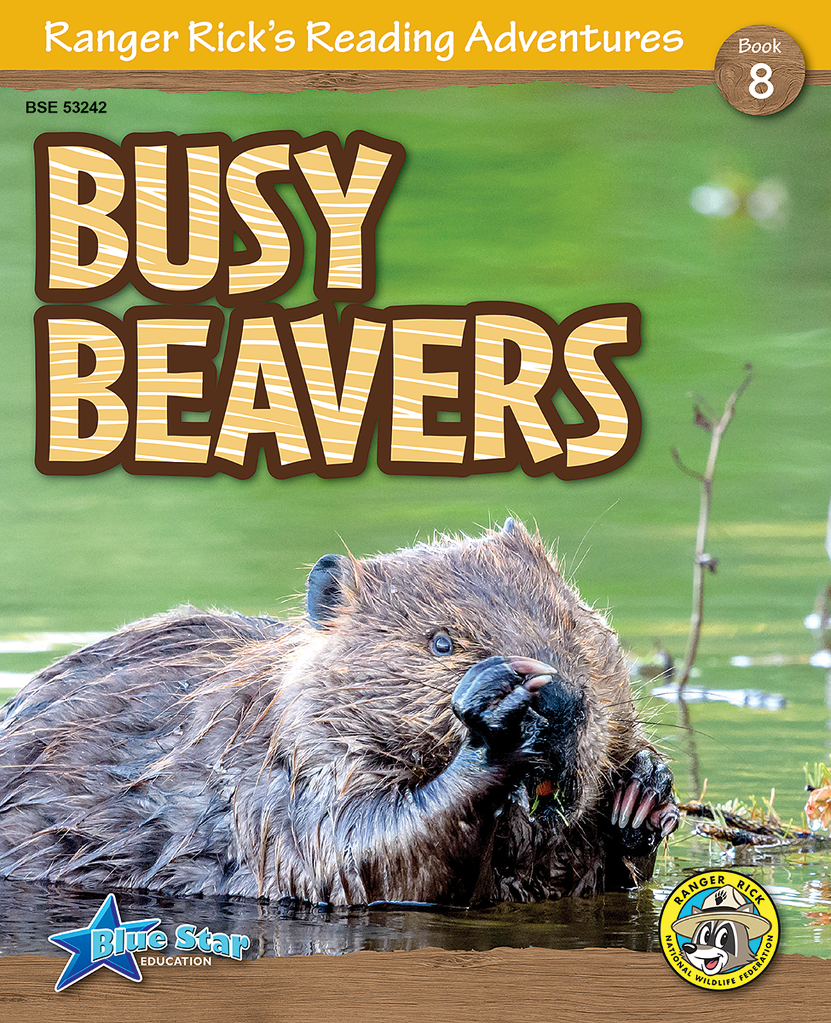 Reader Riddles Ranger Rick Ranger Rick's Reading Adventures: Busy Beavers 6-Pack โ Blue Star Education